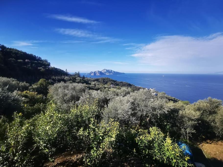 Villa Capri Wonderful View マッサ・ルブレンセ エクステリア 写真