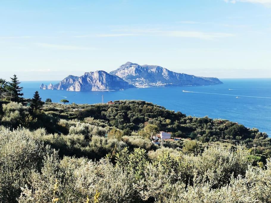 Villa Capri Wonderful View マッサ・ルブレンセ エクステリア 写真